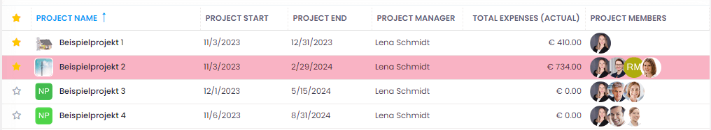 Conditional formatting rule applied to the project list