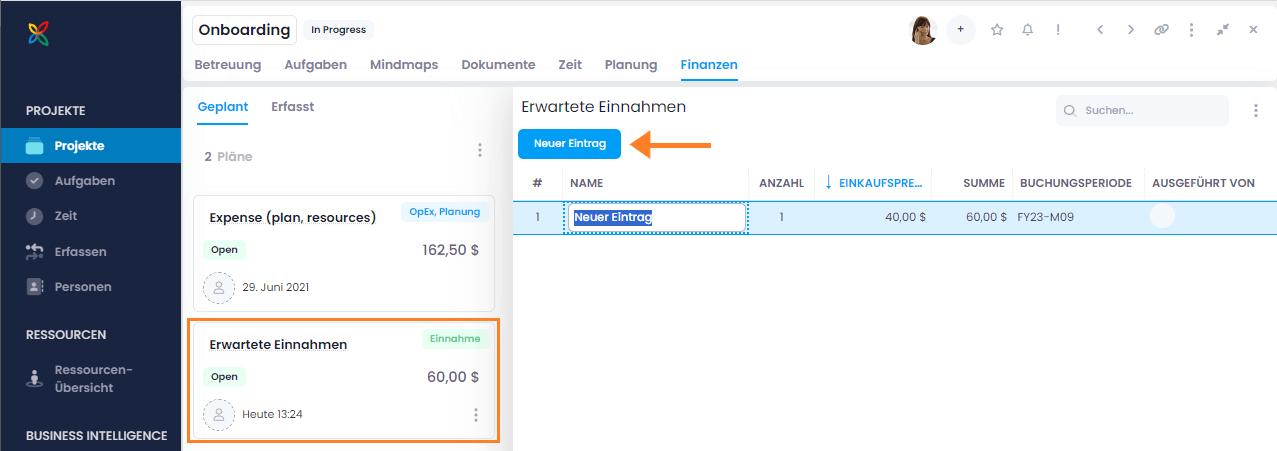 Einnahmenplan – Erwartete Einnahmen Einnahmenplan – Erwartete Einnahmen